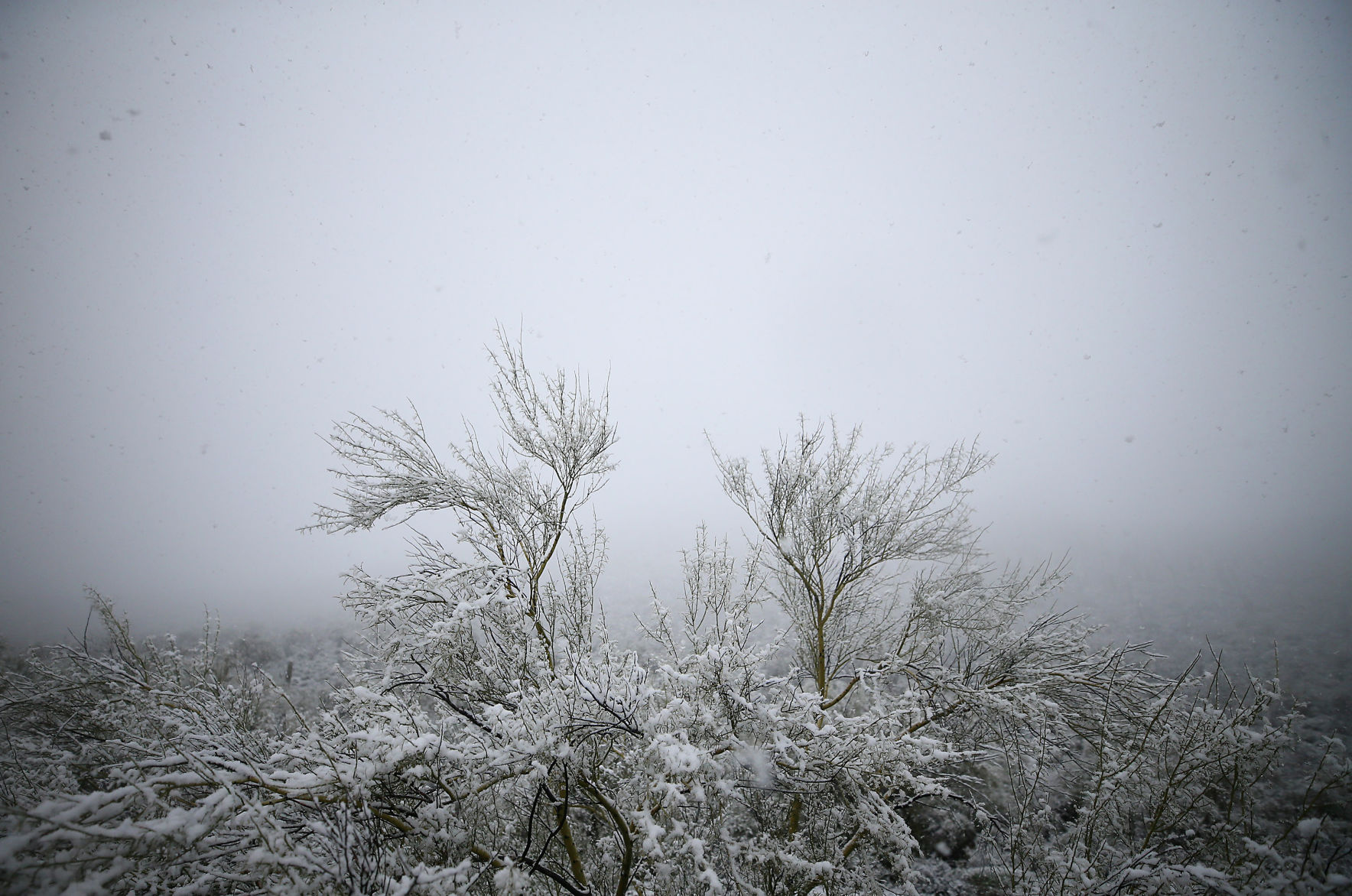 Snow across Tucson